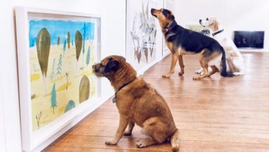 Η πρώτη έκθεση τέχνης μόνο για σκύλους