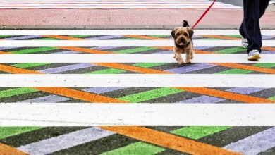 Artist Christo Guelov Creates Dozens of Colorfully Alternative Pedestrian Crossings in Madrid