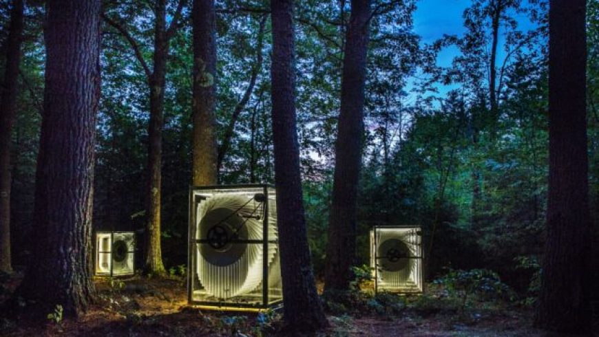 Giant flip books are hiding in the woods of New Hampshire