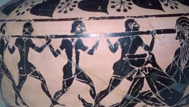 Η αλήθεια πίσω από τον μύθο: Πραγματικά πλάσματα, φαινόμενα και φυτά που ίσως ενέπνευσαν τις περιπέτειες του Οδυσσέα