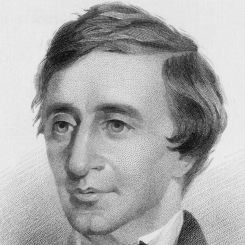 Thoreau on How Silence Ennobles Speech and the Ideal Space for Conversation