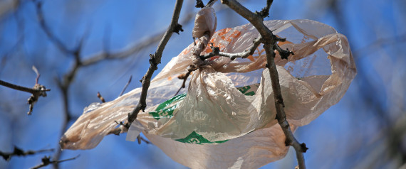 Γιατί η χρέωση της πλαστικής σακούλας είναι κέρδος για όλους