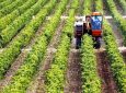 Στήριξη για επενδύσεις σε υφιστάμενες γεωργικές εκμεταλλεύσεις