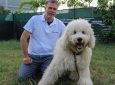 Dog Therapy γιατί… «Τα συναισθήματα του σκύλου θυμίζουν τα συναισθήματα των ηρώων της αρχαιότητας»