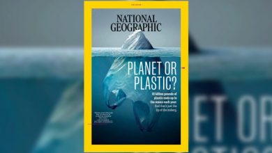 Καθώς όλοι μιλούν για το εξώφυλλο του National Geographic, να γιατί κάνουν τόση ζημιά οι πλαστικές σακούλες στις θάλασσες