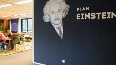 Σχέδιο Αϊνστάιν