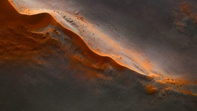 Striking aerial photographs of Namibia’s arid landscape appear as abstract paintings
