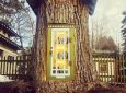 Η πιο όμορφη βιβλιοθήκη βρίσκεται σε κορμό δέντρου 110 ετών