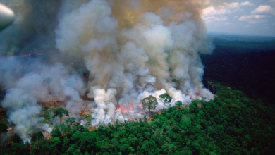 Καταστρέφεται ο Αμαζόνιος – Ο «πνεύμονας» του πλανήτη κινδυνεύει