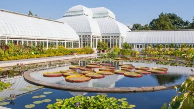 Κάντε λαχανόκηπο στο μπαλκόνι, ζωγραφική και χειροτεχνίες ακολουθώντας τα δωρεάν μαθήματα του Βοτανικού Kήπου της Νέας Υόρκης