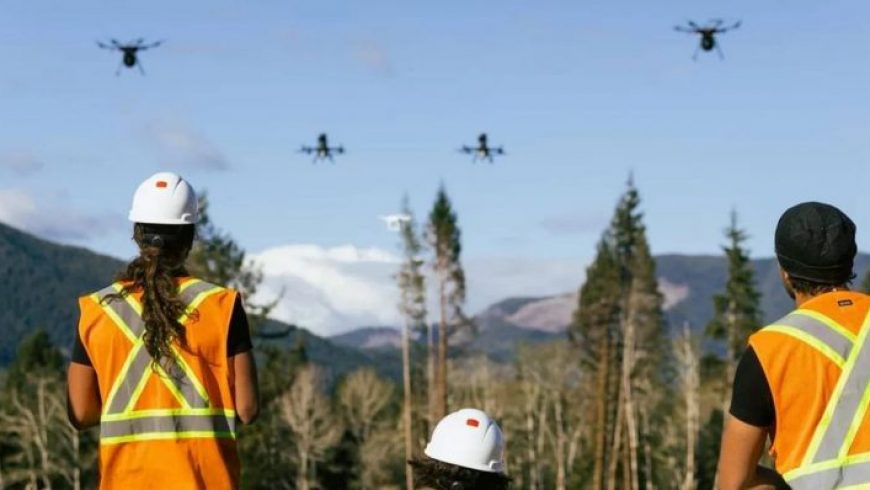 Αναδάσωση με drones: Startup θέλει να φυτεύει 40.000 δέντρα το μήνα – Πώς η νέα τεχνολογία μπορεί να βοηθήσει