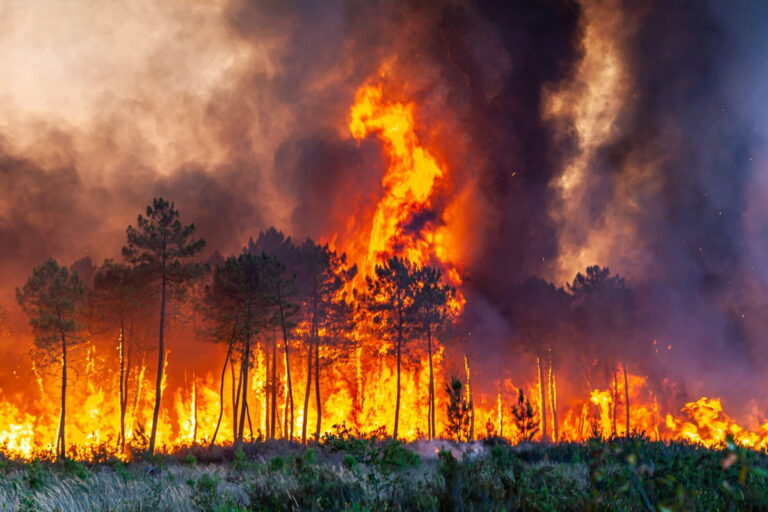 Οι φετινές πυρκαγιές στην Ευρώπη έχουν ήδη καταστρέψει περισσότερη έκταση σε σχέση με το σύνολο του 2021
