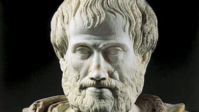 Ήταν ο μεγάλος φιλόσοφος Αριστοτέλης ο πρώτος θαλάσσιος βιολόγος;