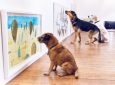 Η πρώτη έκθεση τέχνης μόνο για σκύλους