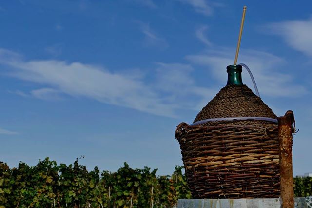 Italian Vineyard Installs Free-Flowing Wine Fountain