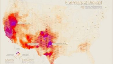 The Best Maps of 2016