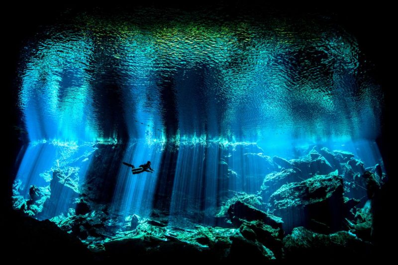 Υδάτινος κόσμος, oι υποβρύχιες εικόνες της χρονιάς