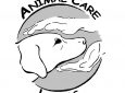 «Εκστρατεία Ενημέρωσης» από το φιλοζωικό σωματείο Animal Care Lefkas
