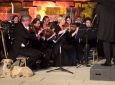 A Very Cultured Dog Walks Into An Orchestra Performance, Wins Everyone’s Hearts