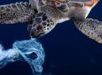 Καμπάνια κατά του πλαστικού στις θάλασσες