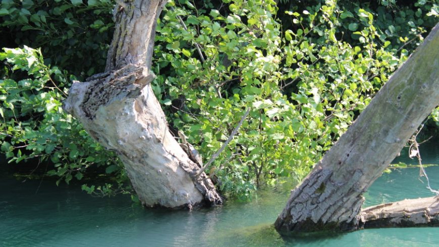 Αχέροντας Ποταμός: Παίζοντας με τη φύση στο αρχαίο ποτάμι των νεκρών