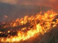 Πολύ υψηλός κίνδυνος πυρκαγιάς σήμερα στο Νομό Λευκάδας