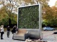 Εφεύρεση: Τείχος από πράσινο καθαρίζει τον αέρα όσο κι ένα δάσος