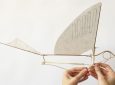 A Wind-Up Bamboo Passenger Pigeon by Haptic Lab