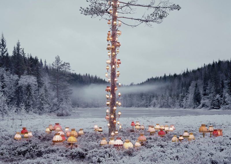 Surreal Book and Lamp Installations by Rune Guneriussen Illuminate Norway’s Forests