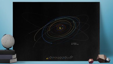 Discover What the Solar System Looked Like on the Exact Day of Your Birth