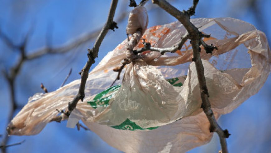 Γιατί η χρέωση της πλαστικής σακούλας είναι κέρδος για όλους