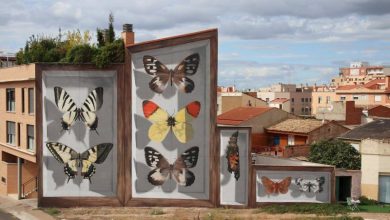 Butterfly Specimen Boxes Painted as Multi-Story Murals by Mantra
