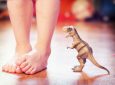 A psychological explanation for kids’ love of dinosaurs