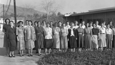 Code Girls: The untold story of the women cryptographers who fought WWII at the intersection of language and mathematics