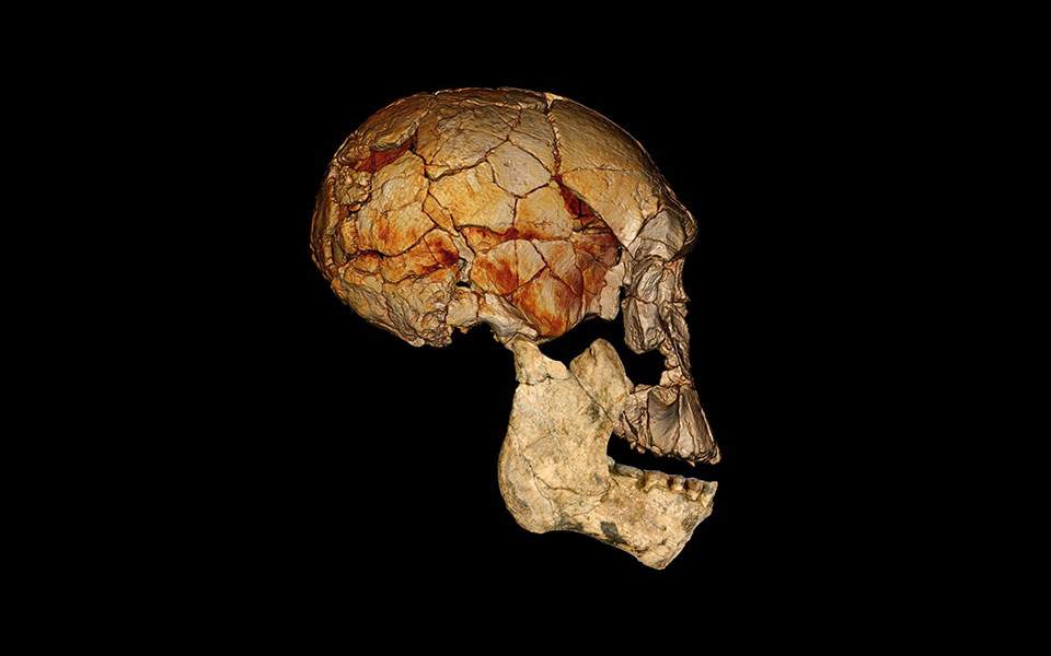 Homo erectus: Ο πρώτος άνθρωπος που μίλησε ήταν ναυτικός και έφθασε ως την Κρήτη, σύμφωνα με επίμαχη θεωρία