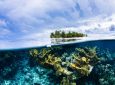 12 υποβρύχιες φωτογραφίες που δείχνουν τον μαγικό κόσμο της θάλασσας