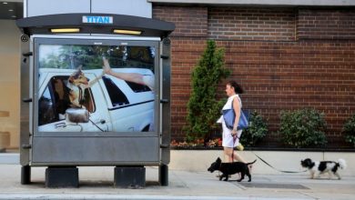 Art in ad places: A new book collects 52 public artworks installed in pay phones across NYC