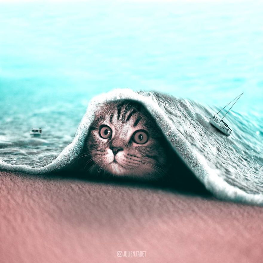 French Artist Cleverly Uses Photoshop To Create Fantastical Animals, And The Result Is Amazing