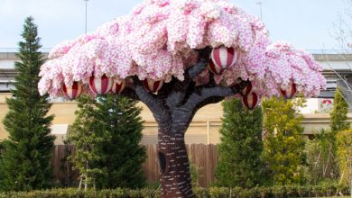The World’s Largest LEGO Cherry Blossom Tree Blooms in Japan