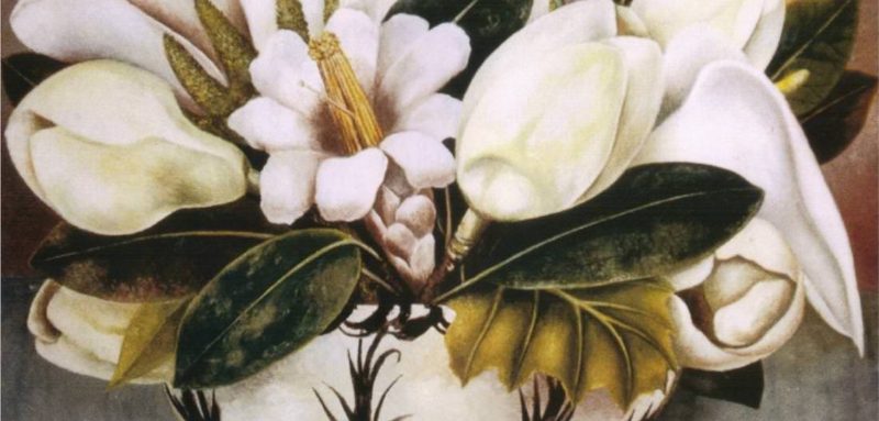 Από τον Βαν Γκογκ μέχρι τη Φρίντα Κάλο, κανείς δεν αντιστάθηκε στην ομορφιά των λουλουδιών