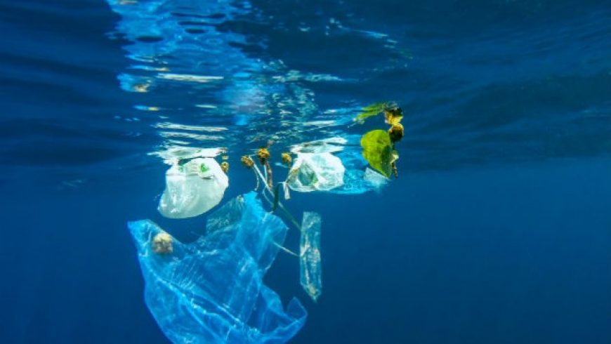 Πλαστική σακούλα στο βαθύτερο σημείο των ωκεανών