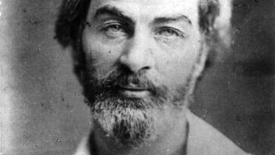 The Wisdom of Trees: Walt Whitman on What Our Silent Friends Teach Us About Being Rather Than Seeming