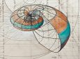 Coloring book celebrates mathematical beauty of nature with hand-drawn golden ratio illustrations