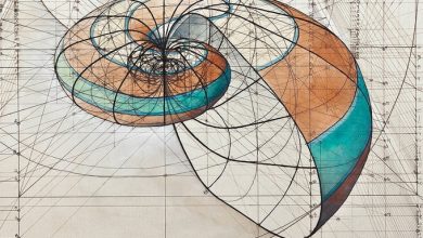 Coloring book celebrates mathematical beauty of nature with hand-drawn golden ratio illustrations