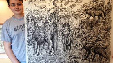 15-Year-Old Artist Creates Incredible Animal Drawings From Memory