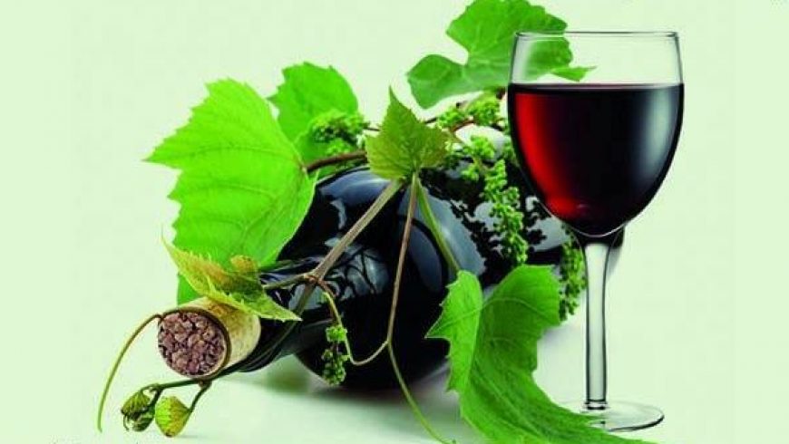 Γιορτή κρασιού & τρύγου στην Απόλπαινα