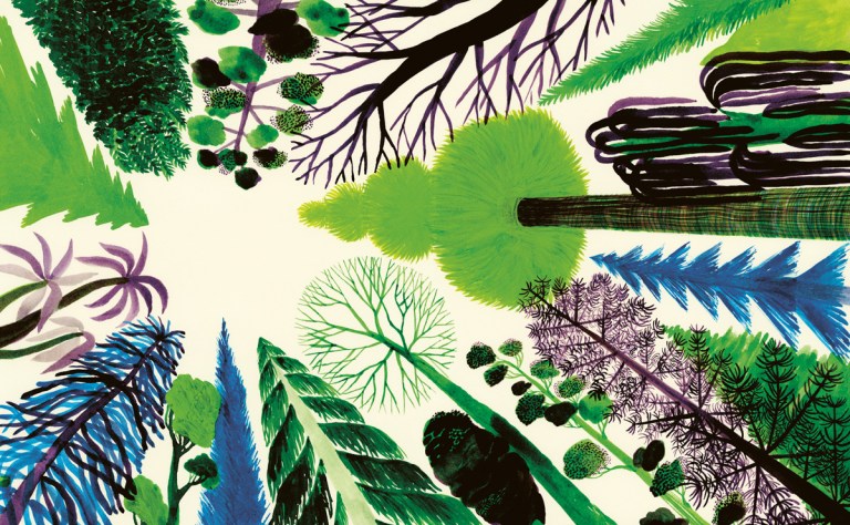 A Stunning Illustrated Celebration of the Wilderness and the Human Role in Nature Not as Conqueror but as Humble Witness
