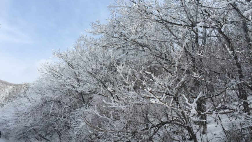 Κλειστά την Τετάρτη 9 Ιανουαρίου τα νηπιαγωγεία και τα σχολεία της ορεινής Λευκάδας