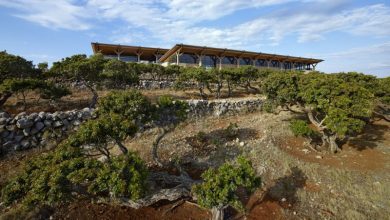 Σε μια πλαγιά στη Χίο στέκεται ένα βραβευμένο θεματικό Μουσείο που βρίσκεται σε συνεχή διάλογο με τη γη