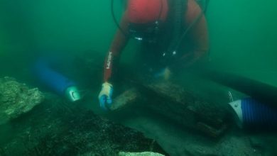 Η δικαίωση του Ηρόδοτου: Βρήκαν τα πλοία που περιέγραφε 2.469 χρόνια πριν